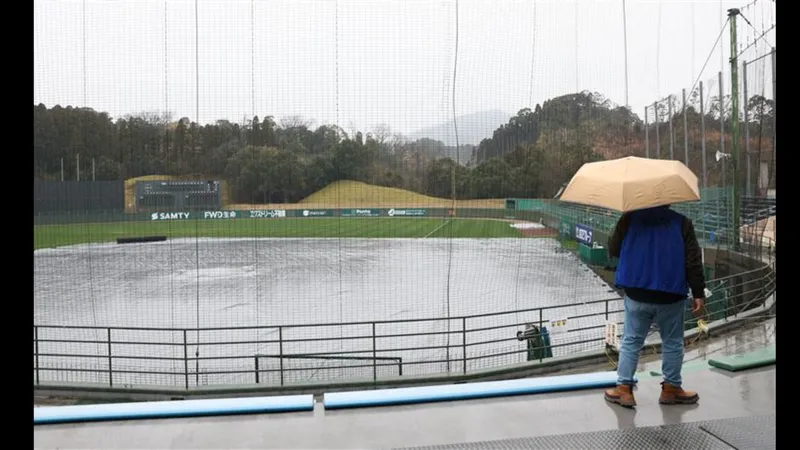 WBC｜宮崎早晨大雨下不停　台灣首戰熱身賽交手歐力士確定取消